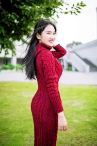 beijingmodel3 2